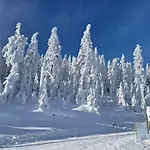 Apartahotel Czarna Góra- Biała Perła Z Mini Aneksem - 403