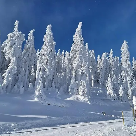 Апарт-отель Czarna Gora- Biala Perla Z Mini Aneksem - 403