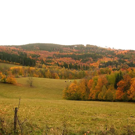 Czarna Gora- Biala Perla Z Mini Aneksem - 403 3*