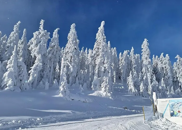 Aparthotel Czarna Gora- Biala Perla Z Mini Aneksem - 403