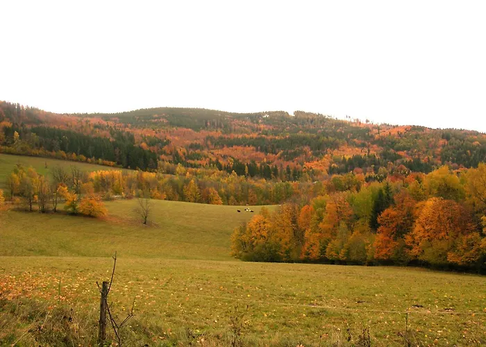 Czarna Góra- Biała Perła Z Mini Aneksem - 403 3*